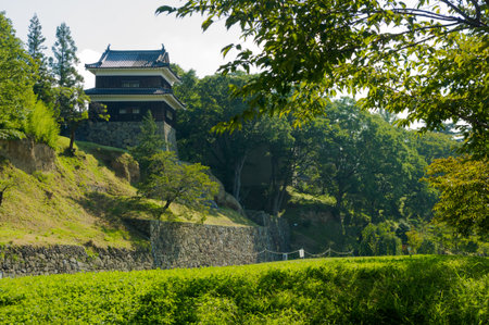 Japanese Castle.It was surrounded by green.のeditorial素材