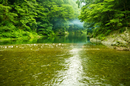 river pebble-riddenの写真素材