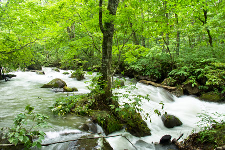 mountain streamの写真素材