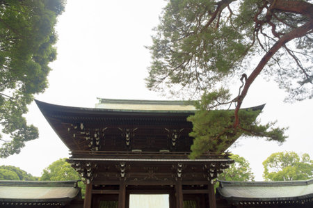 Japanese famous at the Shrine "meijijingu" in the forestのeditorial素材