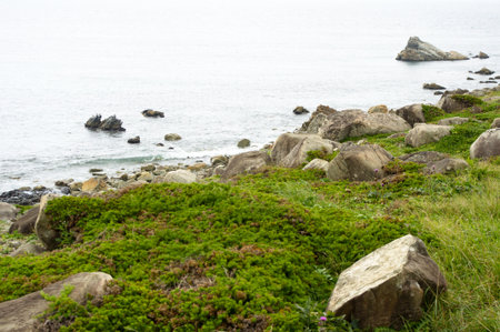 Coastlineの写真素材