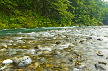 River pebble-ridden-の写真素材
