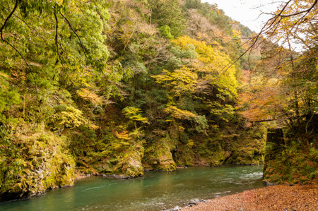 Autumn leaves and river in the mountains.の写真素材