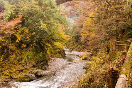 Autumn leaves and river in the mountains.の写真素材