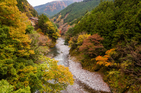 Autumn leaves and river in the mountains.の写真素材