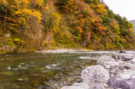 Autumn leaves and river in the mountains.の写真素材