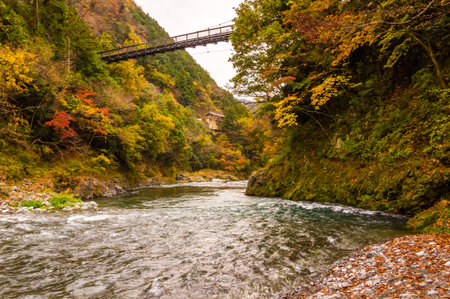Autumn leaves in the mountains, near river and bridgeの写真素材