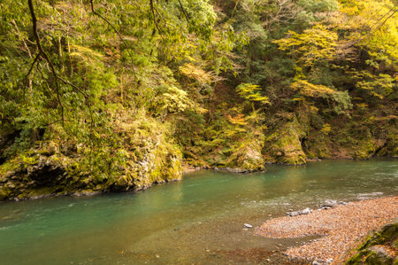 Autumn leaves and river in the mountains.の写真素材