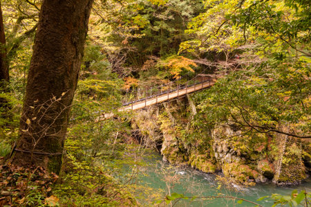 Autumn leaves in the mountains, near river and bridgeの写真素材