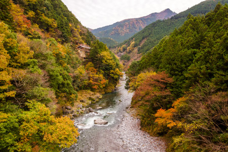 Autumn leaves and river in the mountains.の写真素材