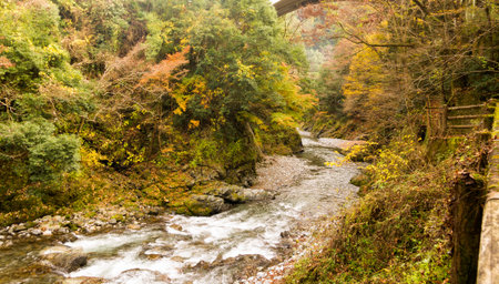 Autumn leaves and river in the mountains.の写真素材