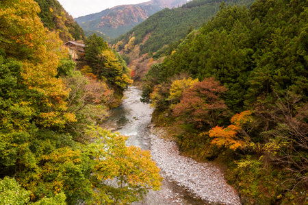 Autumn leaves and river in the mountains.の写真素材
