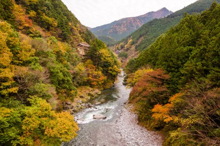 Autumn leaves and river in the mountains.の写真素材