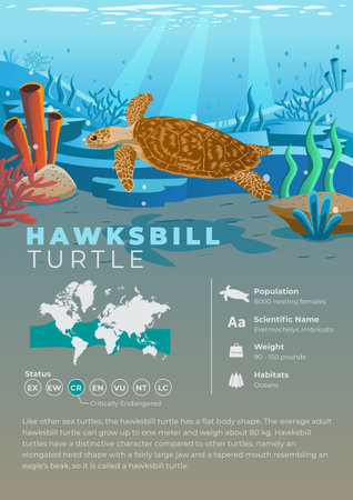 Animal Infographic Series - Hawksbill Turtleのイラスト素材