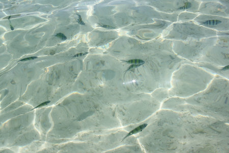 holiday beach