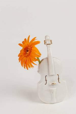 vase violin and violin original の写真素材