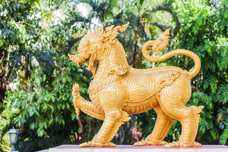 gold lionの写真素材