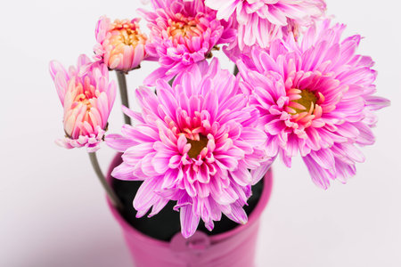 Mum flowersの写真素材