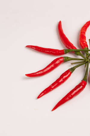 Chili paper Red chili  Hot red chili  Spicy red chili  Red hot chili papers