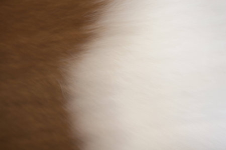 Abstract blurry brown white hair.