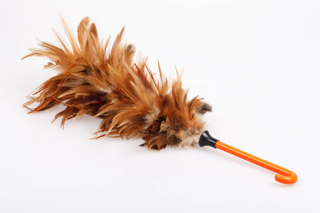 Arrayの写真素材