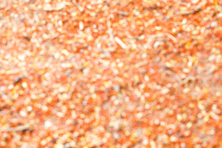 Abstract dry flower on ground.の写真素材