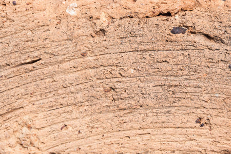 red brick texture macro closeup detailed copy space vertical background.の写真素材