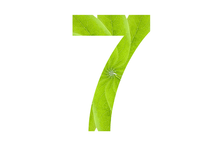 Symbol number double exposure with green leaf on white background. Letters of the alphabet.の写真素材