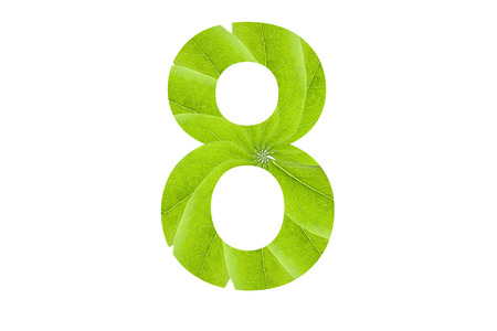 Symbol number double exposure with green leaf on white background. Letters of the alphabet.の写真素材