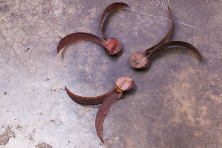 Dried rubber leaves on the groundの写真素材