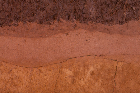 Seamless texture - clay soil.の写真素材