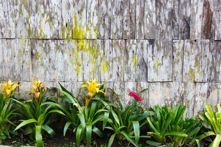 closeup of old wood planks texture backgroundの写真素材