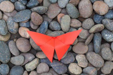 colourful origami butterfly paper on stone garden background.の写真素材