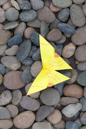 colourful origami butterfly paper on stone garden background.の写真素材