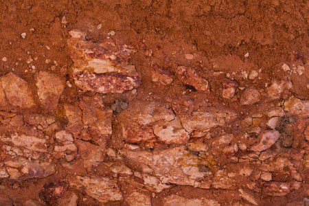 Seamless texture - clay soil.の写真素材