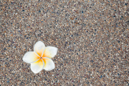 Floral tile background with flowers glass effectの写真素材