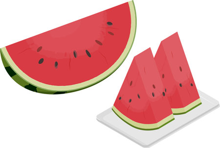 Vector illustration of sliced cut half watermelon and  triangle cutted watermelon on the dish. #02のイラスト素材