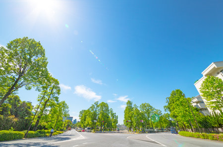 Junction of blue sky and greenの写真素材