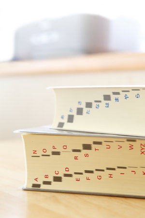 JapaneseEnglish Dictionary and EnglishJapanese dictionaries