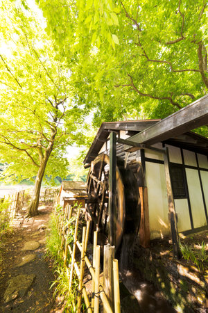 Fresh green and watermillの写真素材