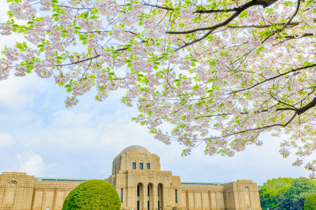 Art galleries and cherry blossomsのeditorial素材