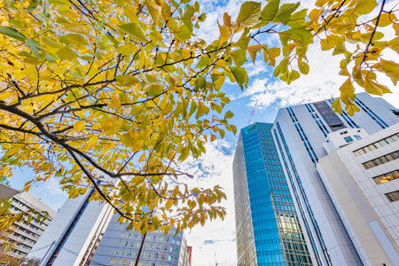 Brightly colored trees and urban buildingsの写真素材