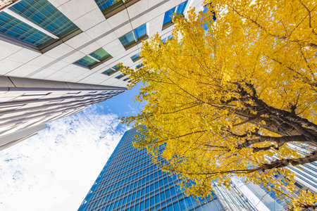 Brightly colored trees and urban buildingsの写真素材