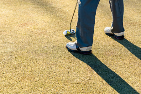 The green of the golf course on a fine day in winter