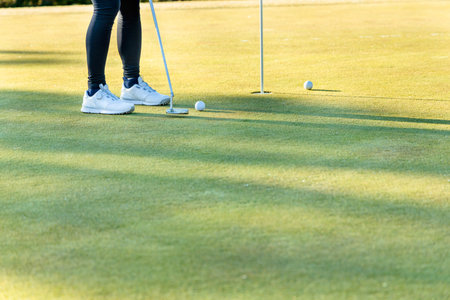 The green of the golf course on a fine day in winterの写真素材