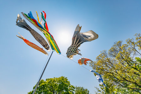 Carp streamers swimming in the skyの写真素材
