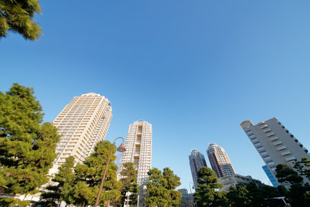 Odaiba's Sky