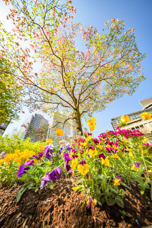 Fresh greenの写真素材