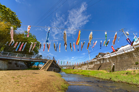 Carp streamerの写真素材