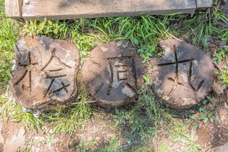 Mountain trailの写真素材